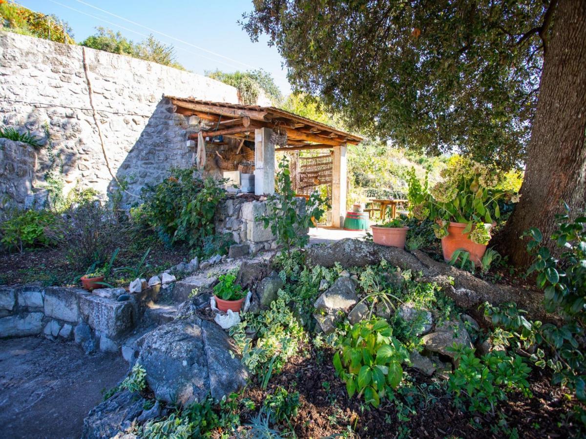 Country House Bakicevo Čilipi Habitación foto